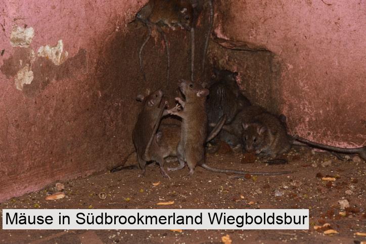 Mäuse in Südbrookmerland Wiegboldsbur